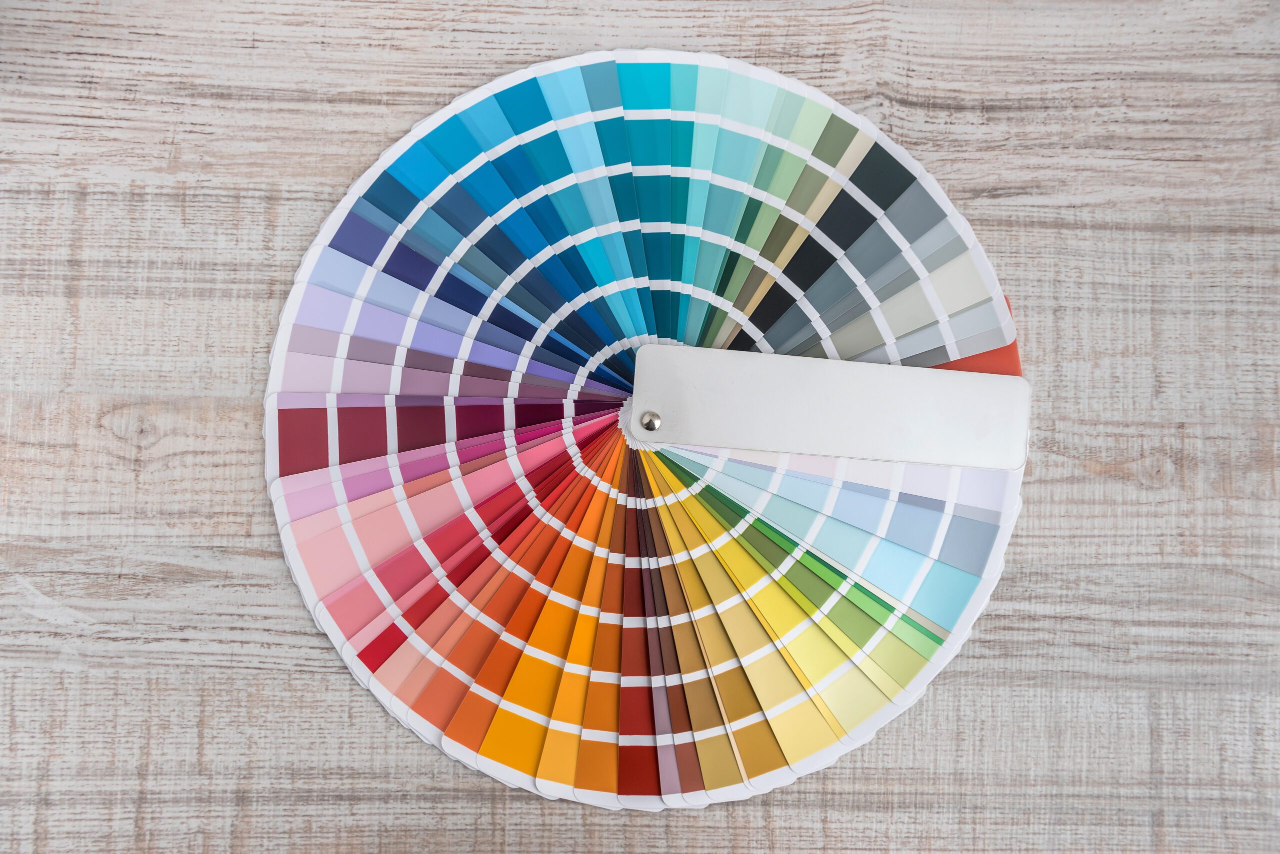 Color Palette